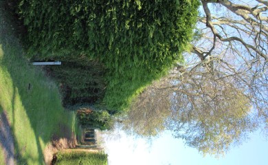 img-17