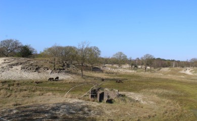 img-23