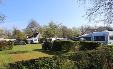 img-1