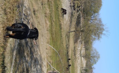 img-11