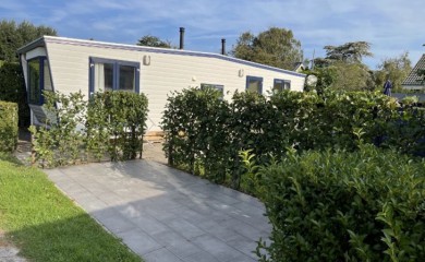 img-1