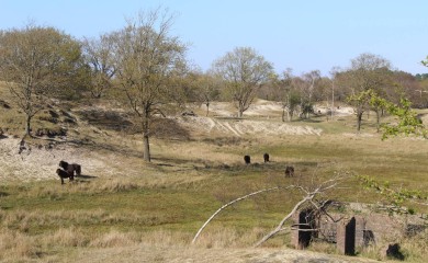 img-13